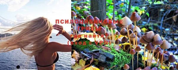 MDMA Богородск
