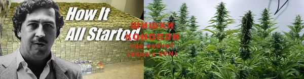 MDMA Богородск